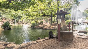 Jardim Japonês em Caldas Novas