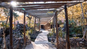 Parque Estadual da Serra de Caldas Novas