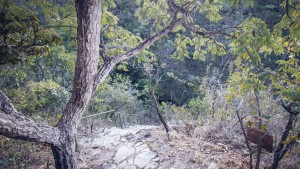 Parque Estadual da Serra de Caldas Novas