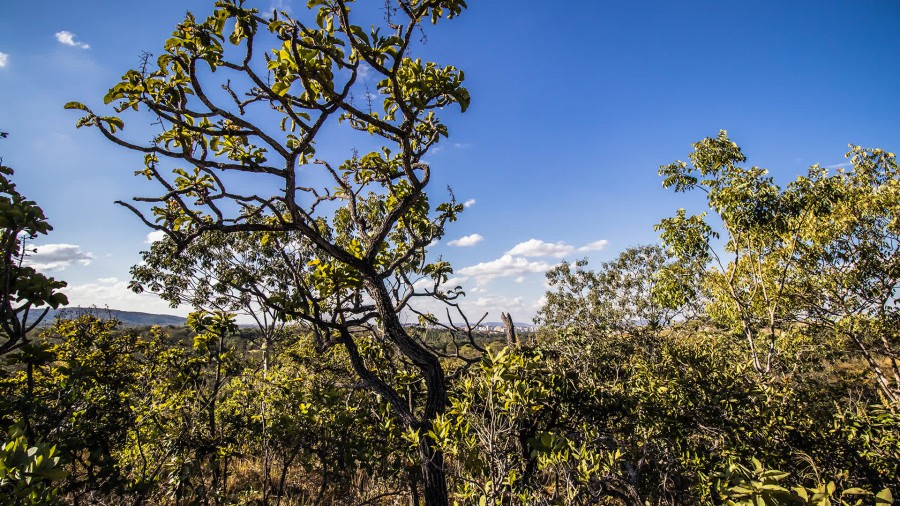 Parque Estadual da Serra de Caldas Novas
